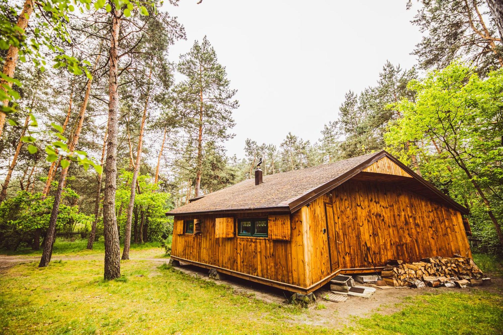 Cozy Nature Retreat With Patio Fireplace Garden Maciejowice Exterior foto