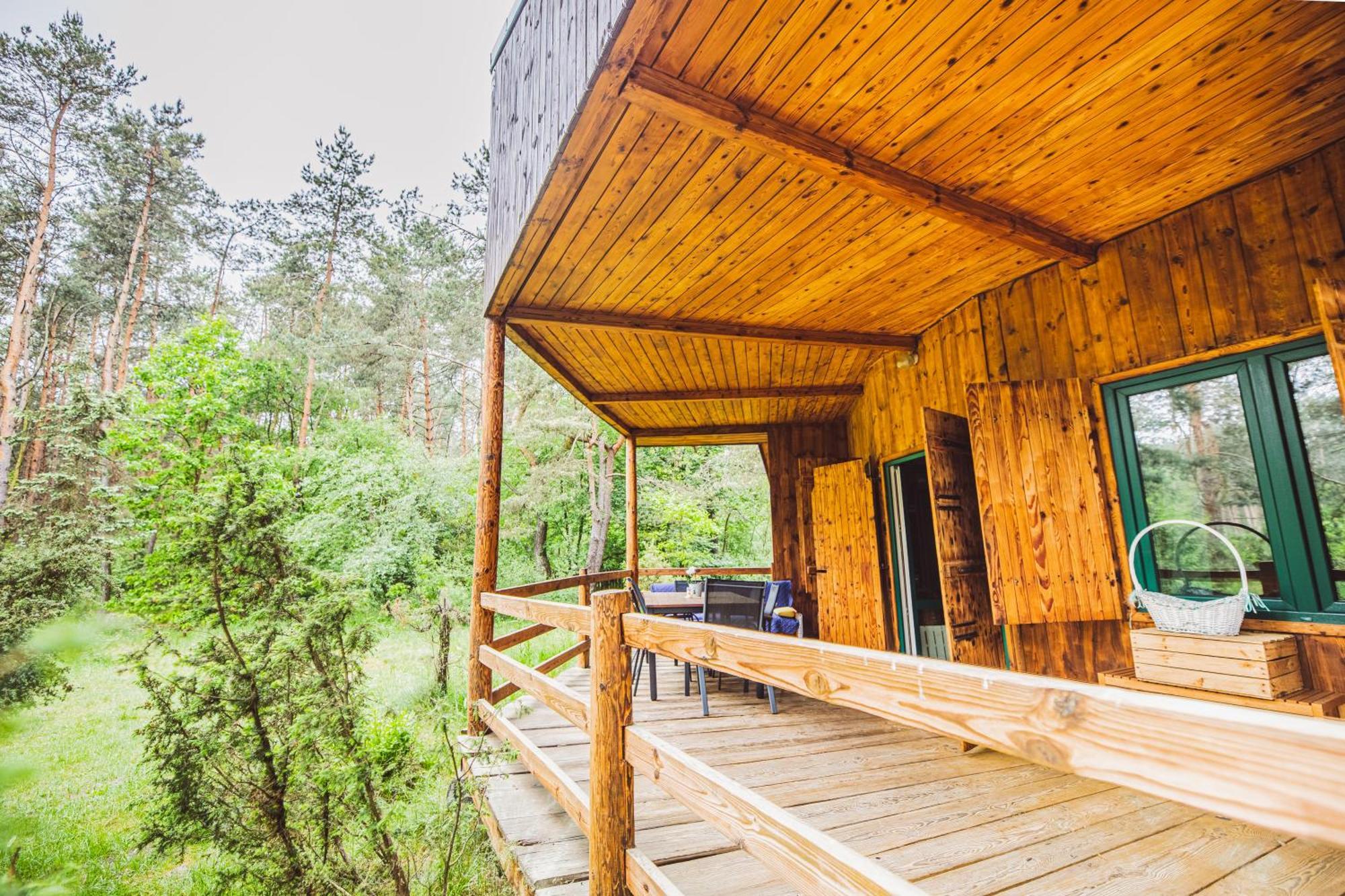 Cozy Nature Retreat With Patio Fireplace Garden Maciejowice Exterior foto